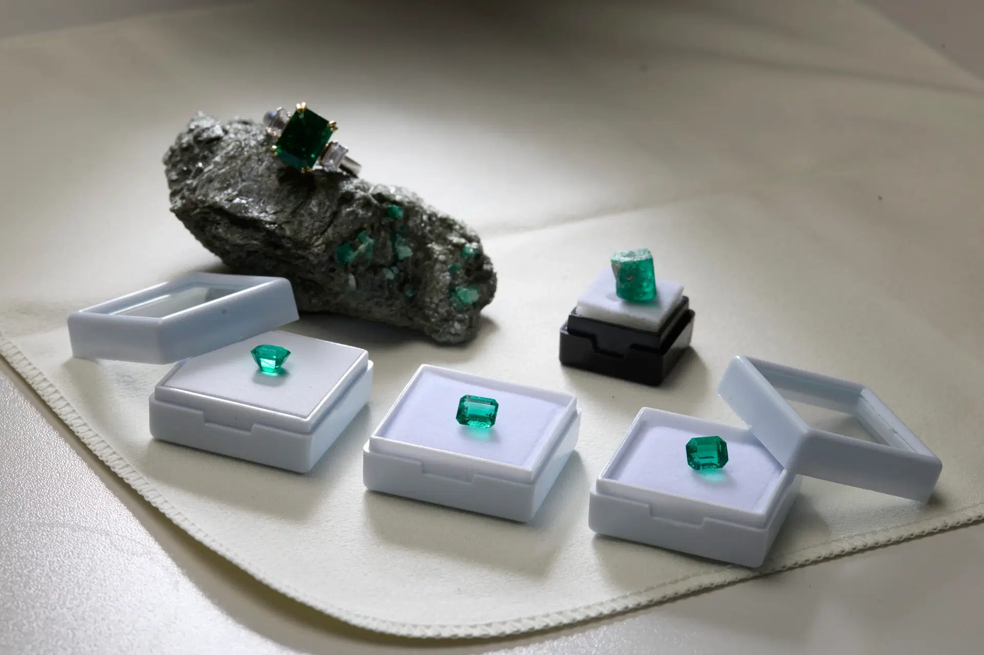 Professional Emerald Collection Display